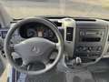 Mercedes-Benz Sprinter Sprinter 311 Pritsche Maxi Top Weiß - thumbnail 7