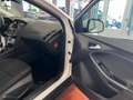 Ford Focus 1.0 Ecoboost Auto-S&S Trend+ 125 Blanco - thumbnail 15