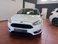 Ford Focus 1.0 Ecoboost Auto-S&S Trend+ 125 Blanco - thumbnail 8