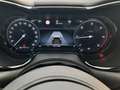 Alfa Romeo Tonale 1.6 DS Sprint FWD Gris - thumbnail 28