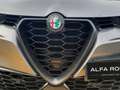Alfa Romeo Tonale 1.6 DS Sprint FWD Gris - thumbnail 42