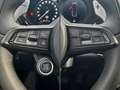 Alfa Romeo Tonale 1.6 DS Sprint FWD Gris - thumbnail 29