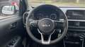 Kia Picanto 1.0 DPi Concept Blanco - thumbnail 14