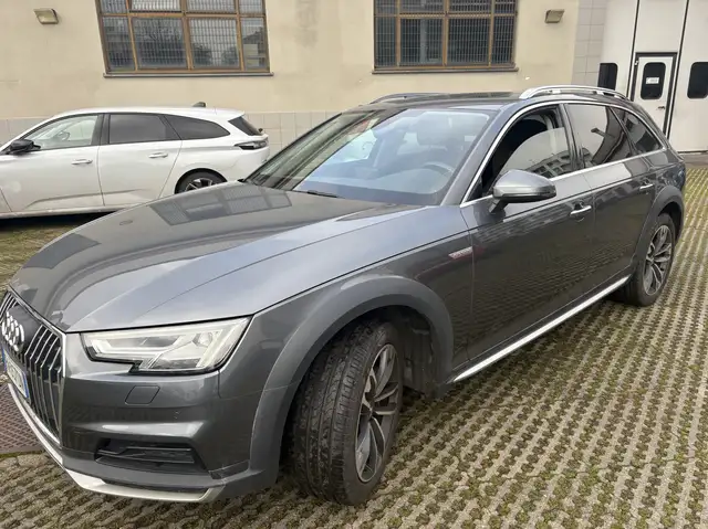 Audi A4 allroad Business Evol. 190cv s-tronic my16