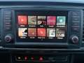 SEAT Ateca 1.6 TDI 115ch Start&Stop Urban Advanced Ecomotive DSG Euro6d-T Grau - thumbnail 19