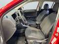 Volkswagen T-Roc Style 1.5 TSI DSG Matrix-LED-Scheinwerfer Rot - thumbnail 7