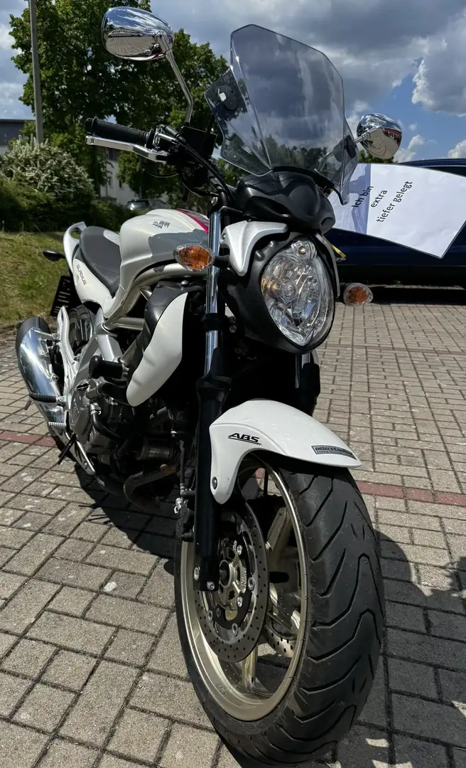 Suzuki Gladius 650 Blanco - 1