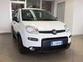 Fiat Panda 1.0 FIREFLY HYBRID 70 CV CITY LIFE - PERFETTA!!! Bianco - thumbnail 2