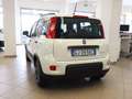 Fiat Panda 1.0 FIREFLY HYBRID 70 CV CITY LIFE - PERFETTA!!! Bianco - thumbnail 4