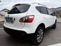 Nissan Qashqai 1.5dCi Tekna 4x2 Blanc - thumbnail 6