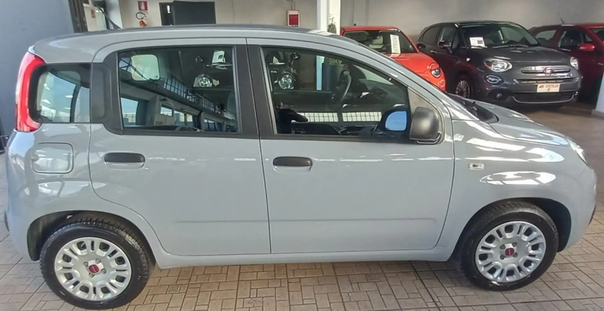 Fiat Panda 1.2 Easy Grigio - 2