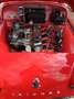Triumph TR3 Tr3A De 1962 - thumbnail 2