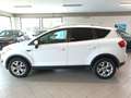 Ford Kuga KUGA  2.0 tdci + 2wd 140cv TITANIUM Bianco - thumbnail 8