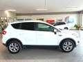Ford Kuga KUGA  2.0 tdci + 2wd 140cv TITANIUM Bianco - thumbnail 4