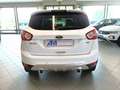 Ford Kuga KUGA  2.0 tdci + 2wd 140cv TITANIUM Bianco - thumbnail 6