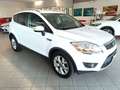 Ford Kuga KUGA  2.0 tdci + 2wd 140cv TITANIUM Bianco - thumbnail 3