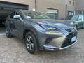 Lexus NX 300 NX 300h 2.5 Premium 4wd cvt Gris - thumbnail 2