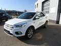 Ford Kuga 2,0 TDCi Titanium Powershift Aut. Weiß - thumbnail 6