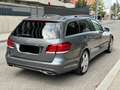 Mercedes-Benz E 250 E 250 BlueTEC 4MATIC T AVANTGARDE Autom. Grau - thumbnail 14
