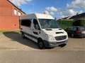 Mercedes-Benz Sprinter 315CDI Wit - thumbnail 2