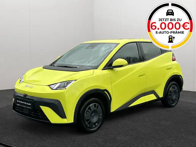 BYD Dolphin DOLPHIN SURF Active