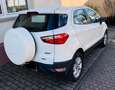 Ford EcoSport ECOSPORT 1.0 EcoBoost TREND Alb - thumbnail 2