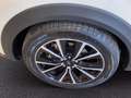 Ford Puma 1.0 ecoboost h Titanium s&s 125cv Bianco - thumbnail 12