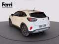 Ford Puma 1.0 ecoboost h Titanium s&s 125cv Bianco - thumbnail 10