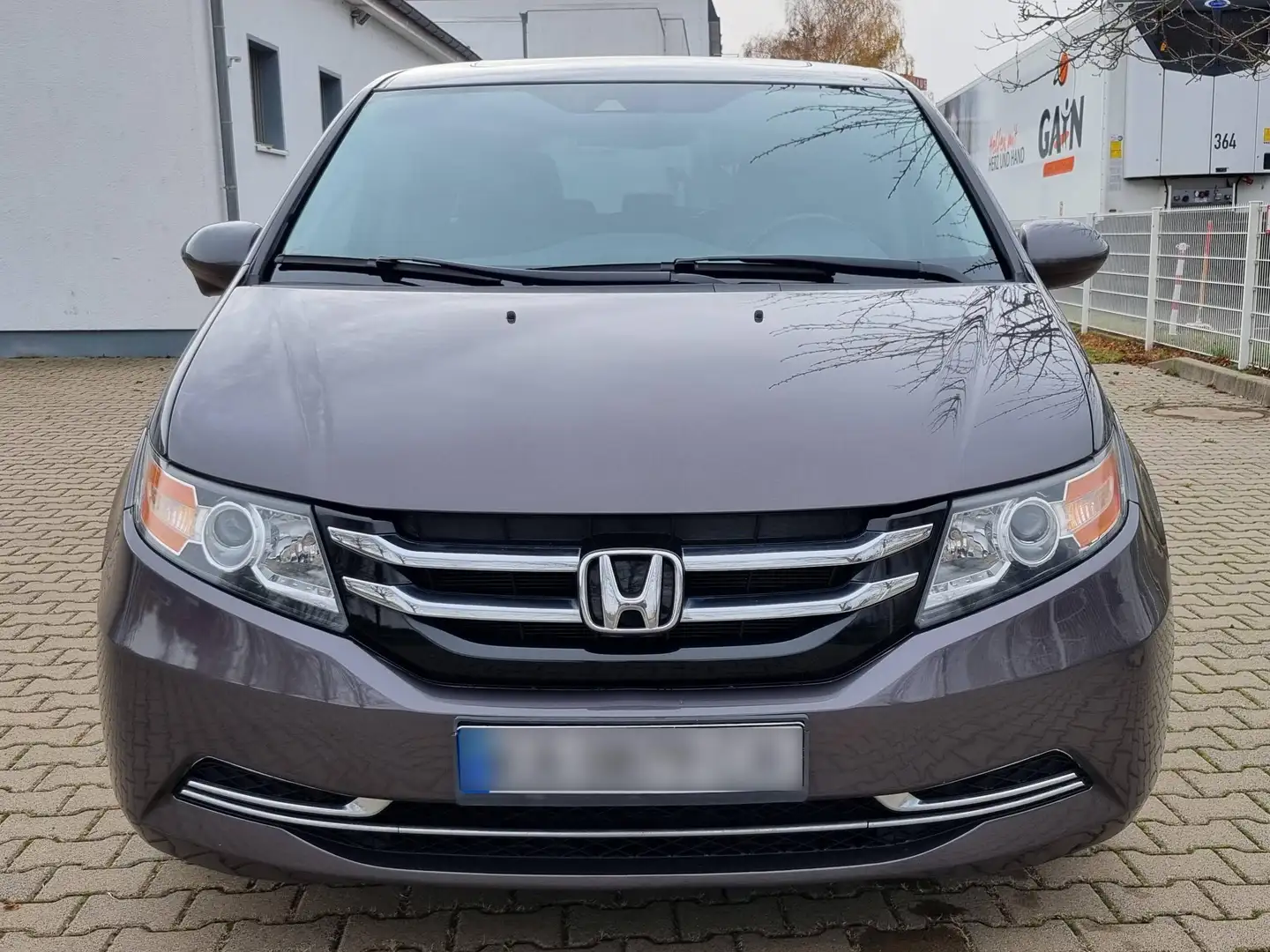 Honda Odyssey EXL Grau - 2