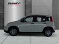 Fiat Panda Mild Hybrid Pandina 1.0,City Paket,USB,PDC Alb - thumbnail 2