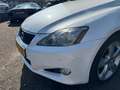 Lexus IS 250 250C | 208 PK | DEALERONDERHOUDEN | STOEL KOE Wit - thumbnail 16