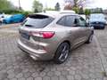 Ford Kuga ST-Line X Navi + LED + Winterp. + B&O + PDC + 20" Beige - thumbnail 4