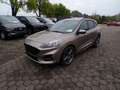 Ford Kuga ST-Line X Navi + LED + Winterp. + B&O + PDC + 20" Beige - thumbnail 1