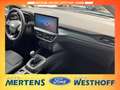 Ford Focus Active LED + Kamera + PDC Blu/Azzurro - thumbnail 11