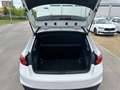 Skoda Fabia 1.0 MPI Essence LED/KLIMA/DAB/PDC/Limiter Weiß - thumbnail 13