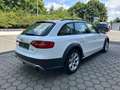 Audi A4 allroad quattro 2.0 TFSI Blanc - thumbnail 4