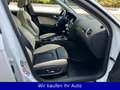 Audi A4 allroad quattro 2.0 TFSI Білий - thumbnail 10