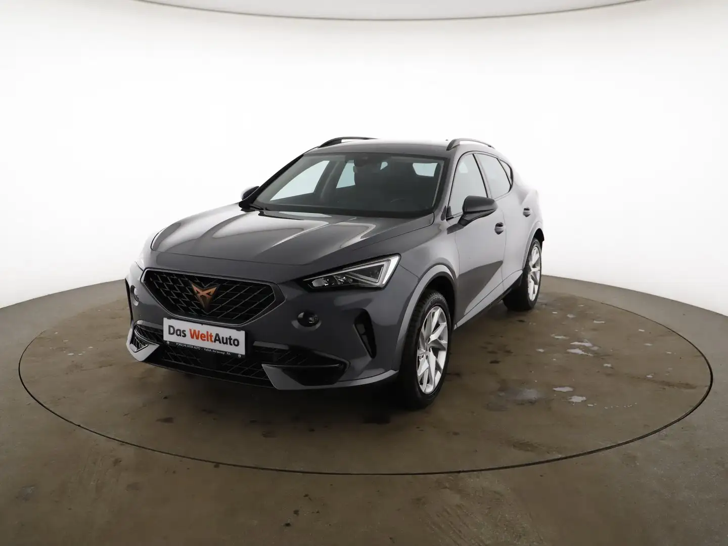 CUPRA Formentor 2,0 TDI Cupra Grau - 1