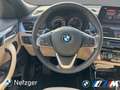 BMW X2 xDrive20d Advantage Plus PDC LED HiFi HUD Bleu - thumbnail 10