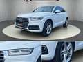 Audi Q5 2,0 TDI quattro sport S-tronic Weiß - thumbnail 2