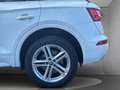 Audi Q5 2,0 TDI quattro sport S-tronic Weiß - thumbnail 30