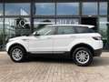 Land Rover Range Rover Evoque 5p 2.2 td4 Pure 150cv auto 9m Blanc - thumbnail 6