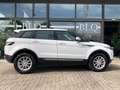 Land Rover Range Rover Evoque 5p 2.2 td4 Pure 150cv auto 9m Bianco - thumbnail 4