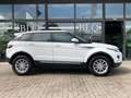 Land Rover Range Rover Evoque 5p 2.2 td4 Pure 150cv auto 9m Blanc - thumbnail 1