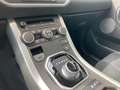 Land Rover Range Rover Evoque 5p 2.2 td4 Pure 150cv auto 9m Bianco - thumbnail 12