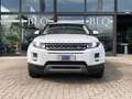 Land Rover Range Rover Evoque 5p 2.2 td4 Pure 150cv auto 9m Blanc - thumbnail 2