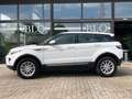Land Rover Range Rover Evoque 5p 2.2 td4 Pure 150cv auto 9m Blanc - thumbnail 3