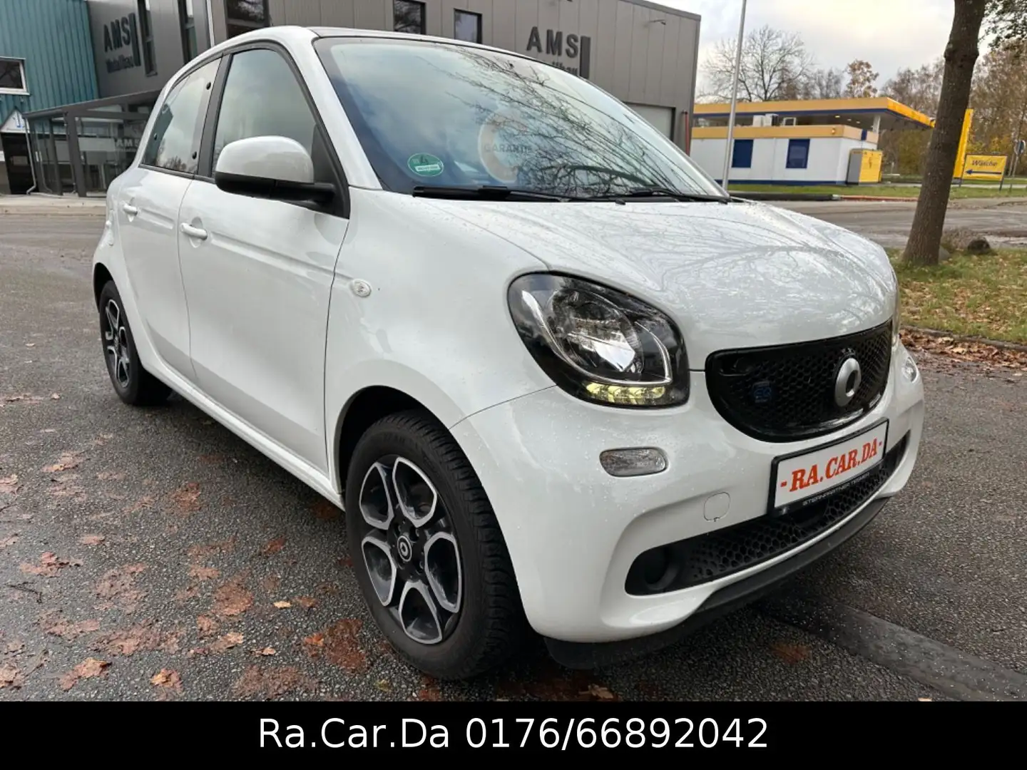 smart forFour electric drive / EQ Panoramadach Weiß - 2