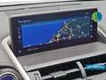 Lexus NX 300 300h Business Navigation 2WD Negro - thumbnail 19
