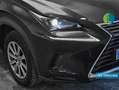Lexus NX 300 300h Business Navigation 2WD Schwarz - thumbnail 12